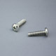 Pan Head (Phillips) High-Low Thread Screw